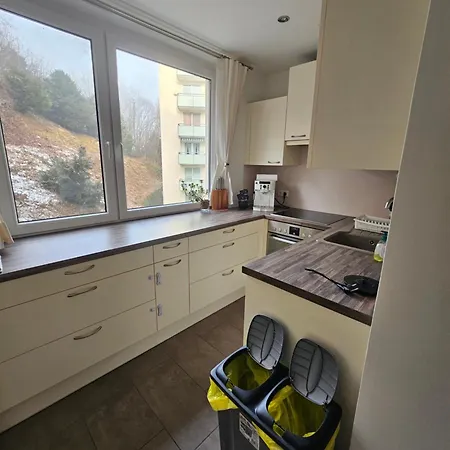 The View Of Austria! Apartman