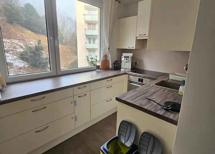 The View Of Austria! شقة